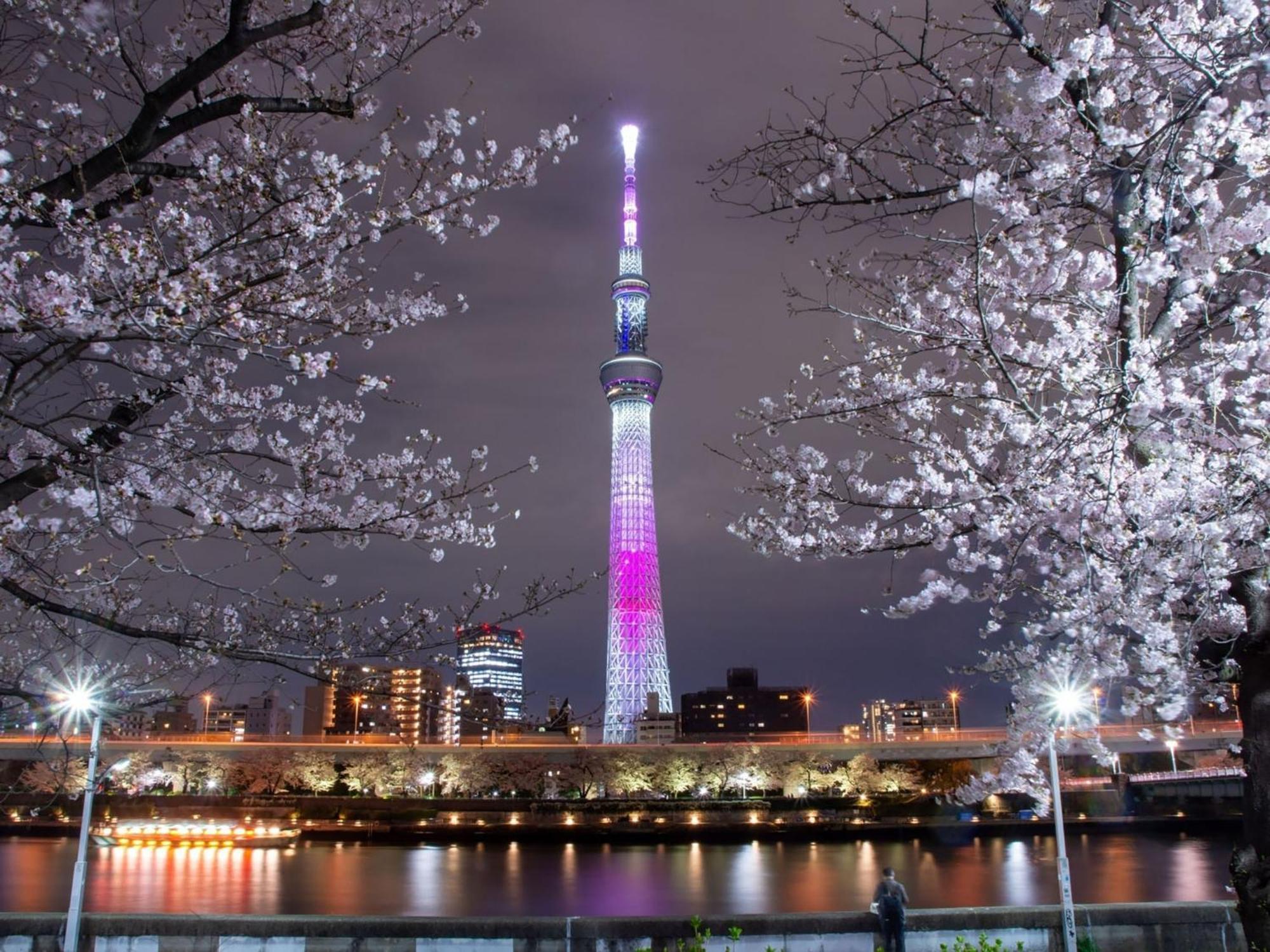 Pensión Rakuten Asakusa Twin 2*